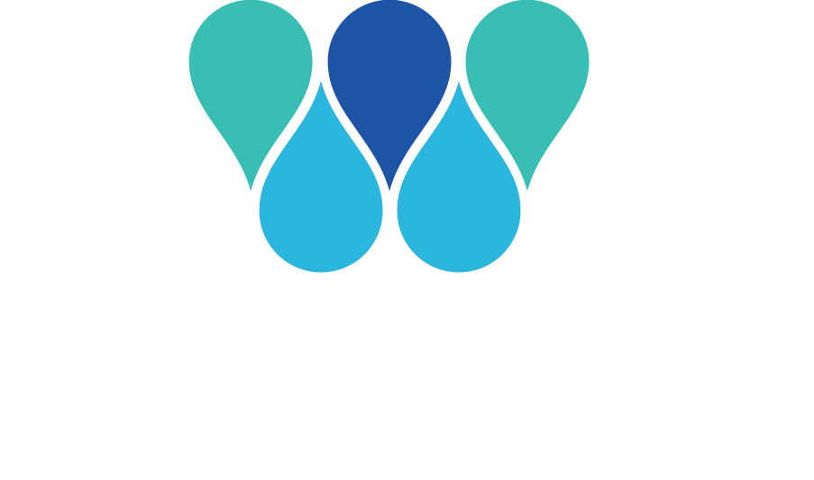 Spectrum Watches